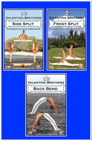 Combo Package Intermediate Level  Video mp4 - VALENTINO BROTHERS