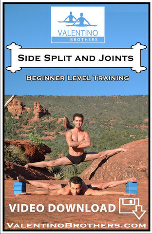 Side Split and Joints Beginner Level Video mp4 - VALENTINO BROTHERS